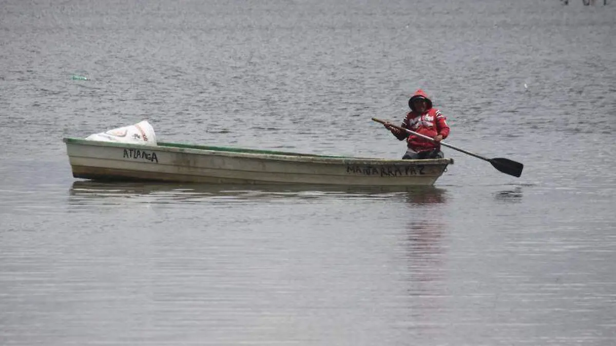 Baja presencia de carpa afecta a pescadores (2)